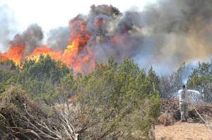 Лесные пожары в США. Фото: http://www.ctv.by