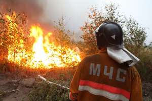 Тушение лесных пожаров. Фото: http://ktelegraf.ru