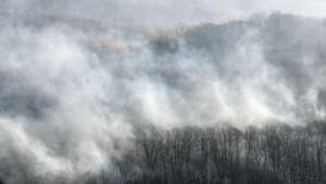 Лесные пожары. Фото: http://www.klerk.ru
