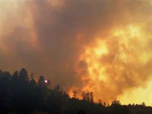 Природный пожар в американском штате Нью-Мексико. Фото: http://lenta.ru