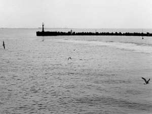 Более 500 млн. рублей заплатит пароходство за разлив нефти в Керченском проливе. Фото: ЮГА.ру