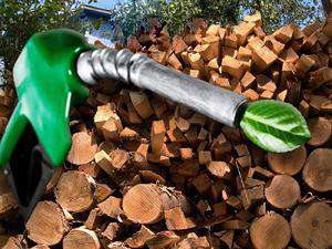Производство биотоплива из древесных отходов. Фото: http://www.biznes-portal.com