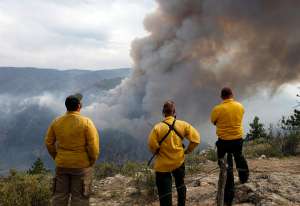 Лесные пожары в Колорадо. Фото: http://www.ridus.ru