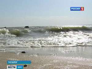 Рыба в Азовском море погибла от недостатка кислорода. Фото: Вести.Ru