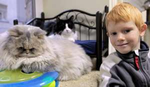 Общение с домашними животными оберегает детей от болезней. Фото с сайта &quot;Голос России&quot;