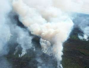 Лесные пожары. Фото: http://ngs.ru