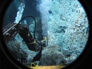 Учёные воссоздали в лаборатории экосистему живых существ, обитающих на склонах подводного вулкана. Фото: http://sciencedaily.com