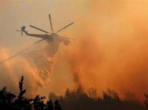 Лесные пожары в Греции. Фото: http://wek.com.ua