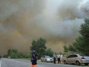 Лесной пожар в Херсонской области Украины. Фото: http://donbass.ua