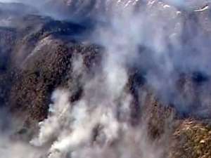 Спасатели не могут потушить лесные пожары в Испании и США. Фото: Вести.Ru