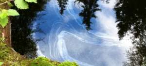 Больше года нефтепродукты из разлива в Ленобласти загрязняют бассейн Невы. Фото: &quot;Зеленый патруль&quot;