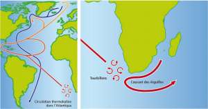 Схема циркуляции водных потоков Атлантического океана. Красным цветом отмечены тёплые течения, синим — холодные. Фото: sciencedaily.com