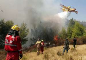 К тушению пожаров на данный момент уже приступили также самолеты. Фото: http://animalworld.com.ua