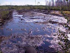 Разлив нефти. Фото: http://neftegaz.ru