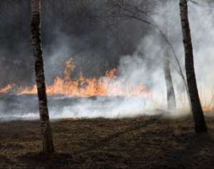 Природные пожары. Фото: http://www.gudok.ru