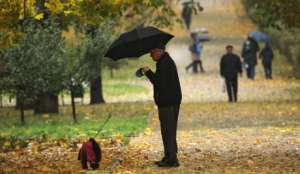 Пенсионер с собакой под осенним дождем на бульваре столицы осень. Фото с сайта &quot;Голос России&quot;