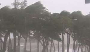 Пять человек стали жертвами тропического шторма в Парагвае. Фото: Вести.Ru