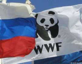 WWF. Фото: http://www.wwf.ru