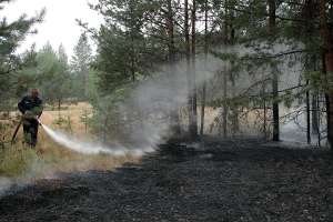 Тушение лесного пожара.  Фото http://mediaryazan.ru.