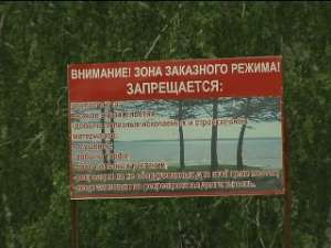 В природном парке &quot;Кандры-Куль&quot; (Башкортостан) браконьеры вырубили 55 деревьев. Фото: Вести.ru
