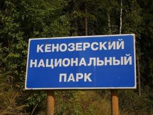 Прокуратура выявила многочисленные нарушения закона в Кенозерском парке. Фото: http://www.dvinainform.ru