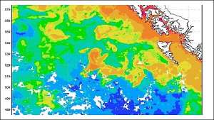 К западу от островов Хайда-Гуаи протянулась жёлто-коричневая полоса. Она отмечает места с повышенной концентрацией хлорофилла в августе с. г. (Изображение Giovanni / Goddard Earth Sciences Data and Information Services Center / NASA.)