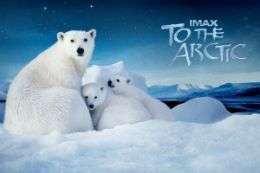 Премьера фильма Арктика 3D - совсем скоро! Фото: WWF 