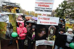 Москвичи - за ужесточение наказания для догхантеров. Фото: Вести.Ru