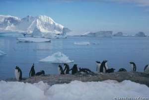 Восточная Антарктика и море Росса могут быть закрыты для рыболовства. Фото: WWF 