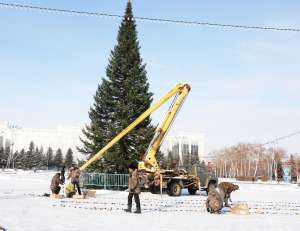 Новогодняя елка. Фото: http://yk-news.kz