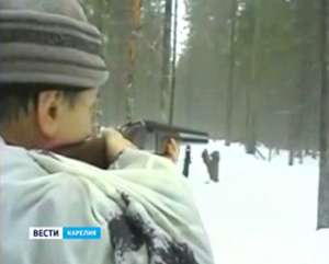 В Карелии готовятся отстреливать волков. Фото: Вести.Ru