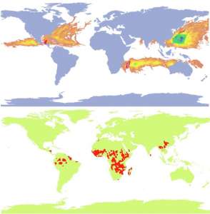 Красным выделены регионы, наиболее опасные для млекопитающих. Фото: http://sciencedaily.com