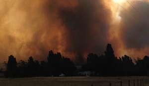 Лесные пожары в Тасмании уничтожили более 100 домов - ТВ. Фото: http://ruvr.ru