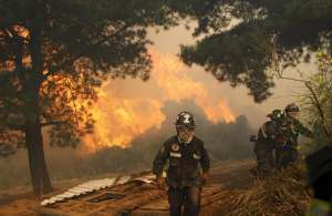 Лесные пожары в Чили. Фото: http://bigpicture.ru