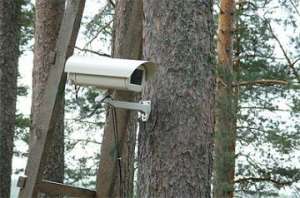 Для защиты лесов Хакасии начнут использовать видеокамеры. Фото: http://greenpressa.ru