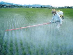 Обработка полей инсектицидами. Фото: http://pesticides.net.ua