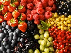 Антоцианы содержатся в основном в ягодах. (Фото Steve Lupton / Corbis.) 