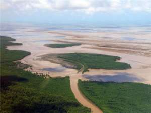Мангровые леса в Гвиане (Французская Гвиана, Суринам и Гайана), которые распространились по всему Ориноко и дельте Амазонки, являются одними из самых обширных в мире. (Фото: IRD / C. Proisy)