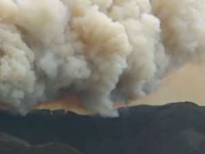 Лесные пожары в Австралии подбираются к жилым домам. Фото: Вести.Ru