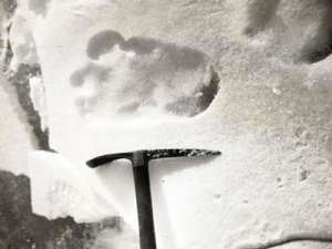 Ученые из США утверждают, что доказали существование снежного человека. Фото Eric Shipton