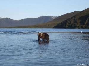Шаг к развитию системы заповедных территорий Камчатки. Фото: WWF 