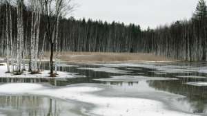 Весенний паводок. Фото: http://gisa.ru