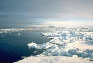 Арктика. Фото: http://ecowars.tv