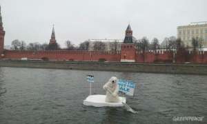 Белый медведь доплыл на льдине до Кремля. Фото: Greenpeace