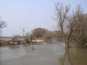 Паводок в Чувашии. Фото: http://www.province.ru/
