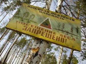 Противопожарный режим в лесу. Фото: http://www.52.mchs.gov.ru