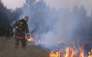 Общая площадь возгораний за минувшие сутки составила почти 80 гектаров. Фото: http://lesvesti.ru