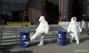Белые медведи в акции Greenpeace, Фото: Greenpeace