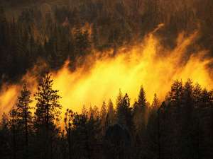 Лесной пожар. Фото: http://adi19.ru