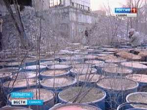 Государство поможет Тольятти утилизировать отходы завода &quot;Фосфор&quot;. Фото: Вести.Ru